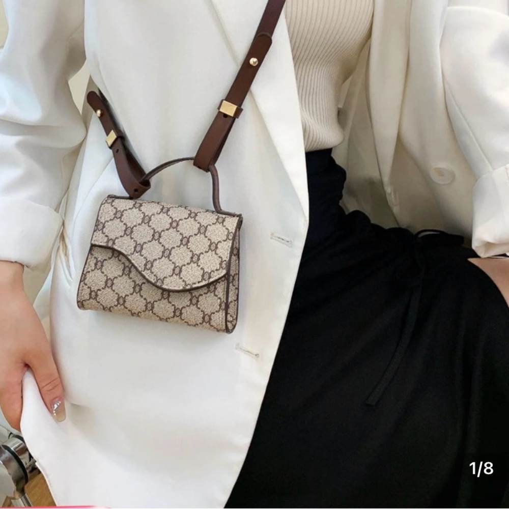 Elegant  Beige and Brown Mini Bag